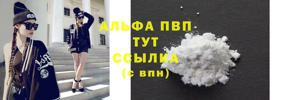 амф Елизово