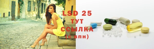 скорость Ельня