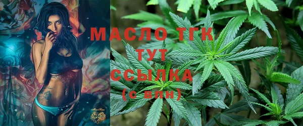 скорость Ельня