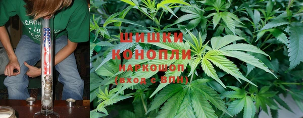амф Елизово