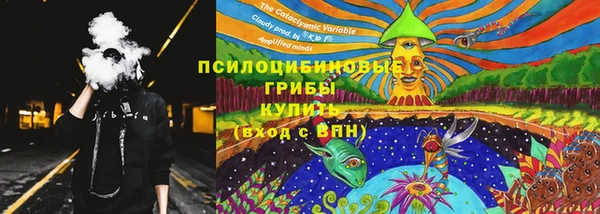 скорость Ельня