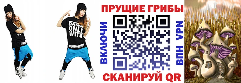 Псилоцибиновые грибы прущие грибы  Луга 