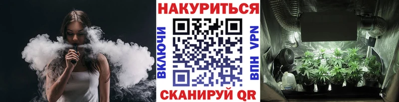 Бошки марихуана индика купить наркотики цена Луга